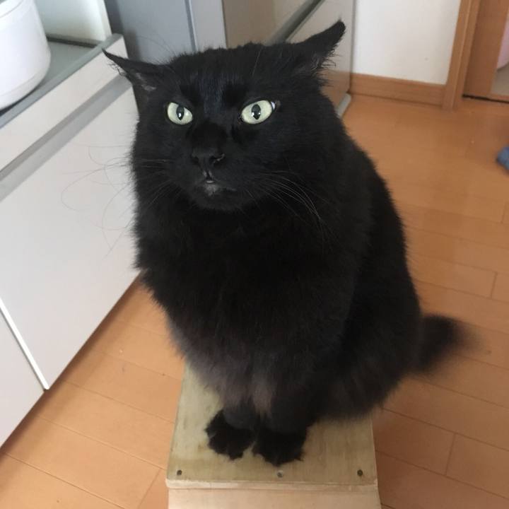 Ab557867 6cc2 46cb aedf b289a61b7c77 1533951085940