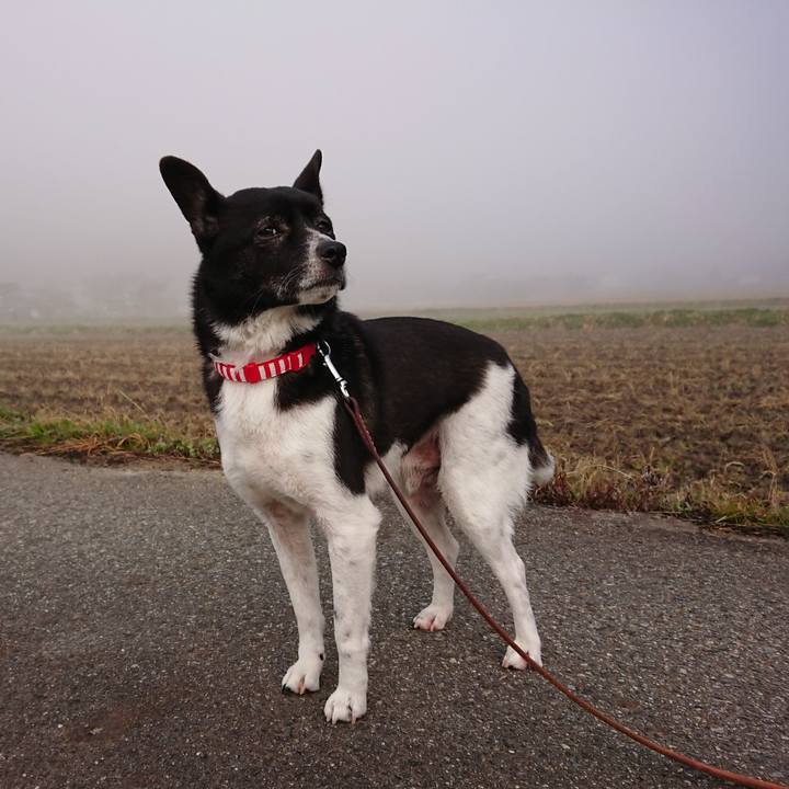 Ab55cbae 1e40 461f 86ae 0cb2d0735f18 1616455812458