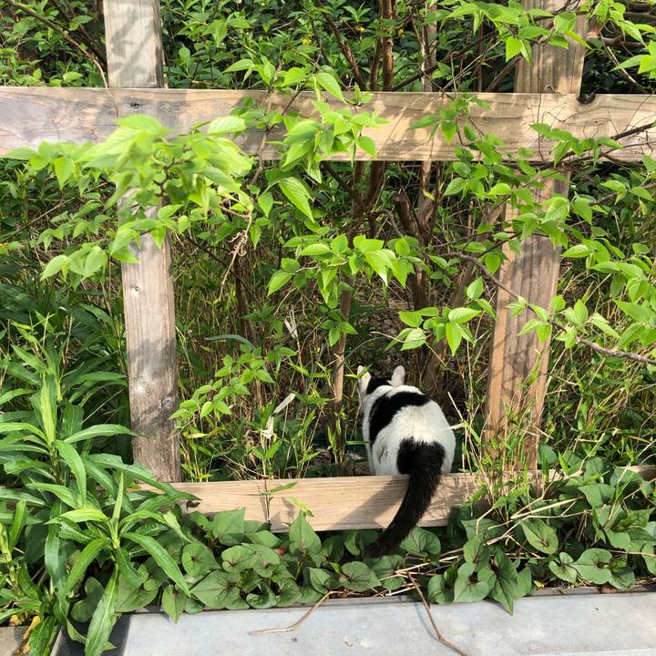 Ab560a5e 0a5b 400f 97a5 508468559411 1589717251227