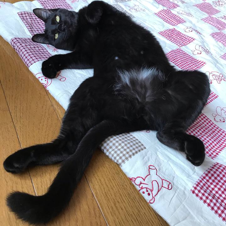 Ab561c44 f1bc 4003 a22b f8ad86ce2ade 1575177396777