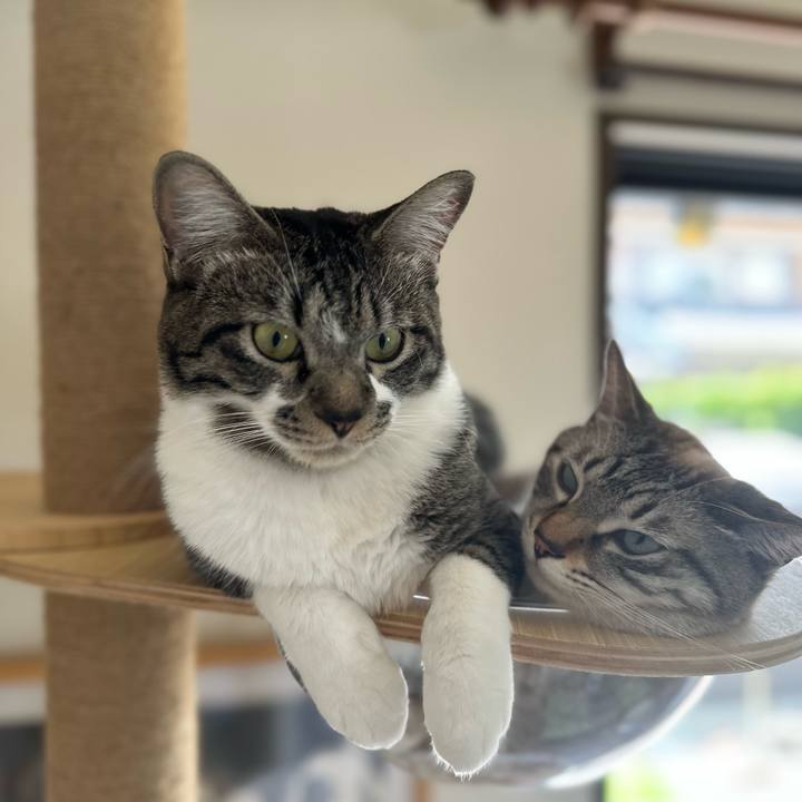 Ab562583 aa7b 416c b606 f9786e82c56f 1698034629400