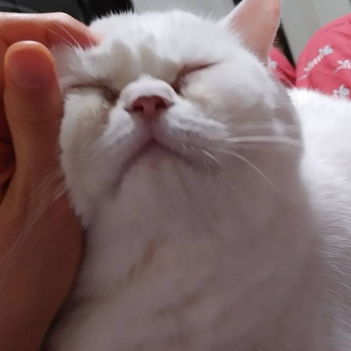 Ab564223 6d6d 441c acb9 32a51d40d6bd 1698675870577