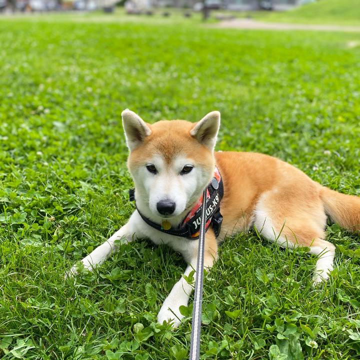 Ab566e2b 4401 48b2 90e4 55e4420d64b8 1624590812757