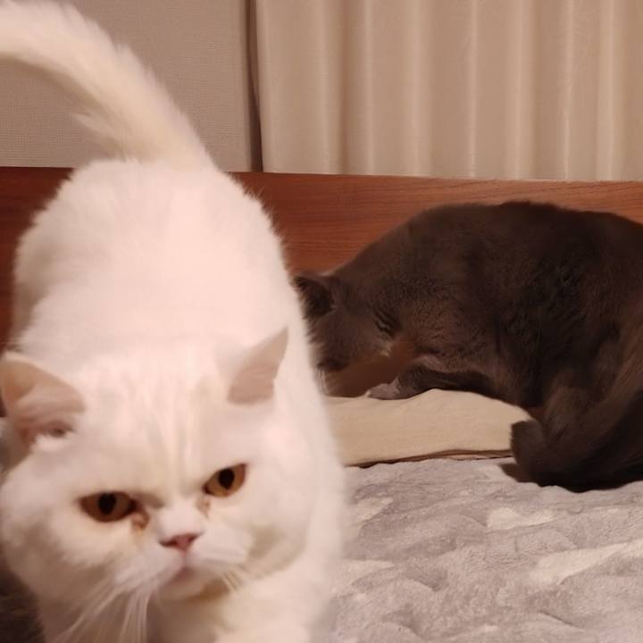 Ab5691b3 d32a 45d7 8aa2 7dcfcbb73e61 1666995448142