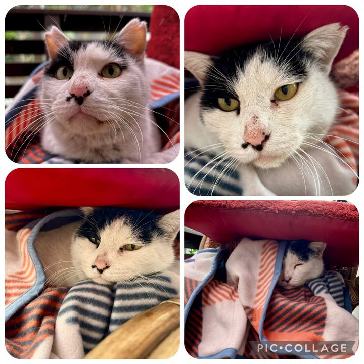 Ab5698be a2ee 49ca 9d4e b8766794ce27 1770525335369