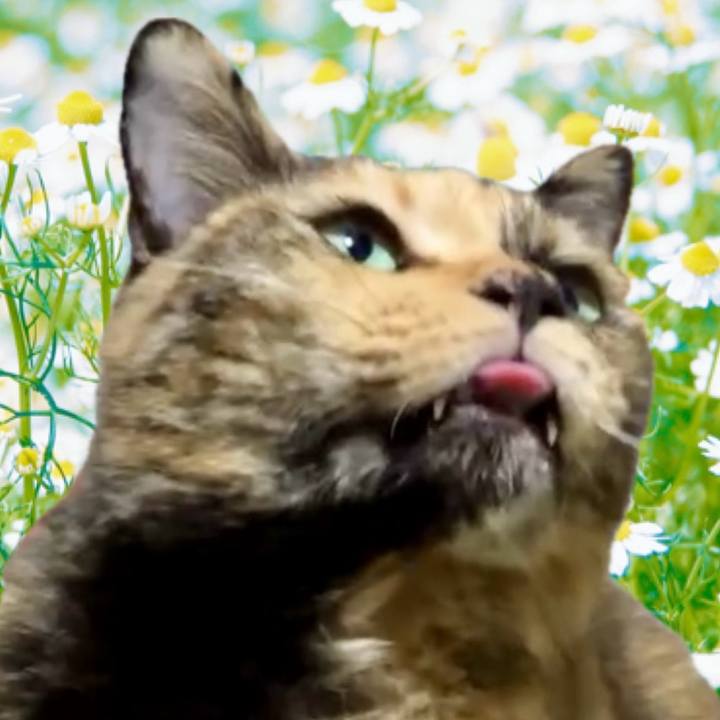 Ab56b1d4 ffa3 446a 9608 7639a5ef9b17 1730712331039