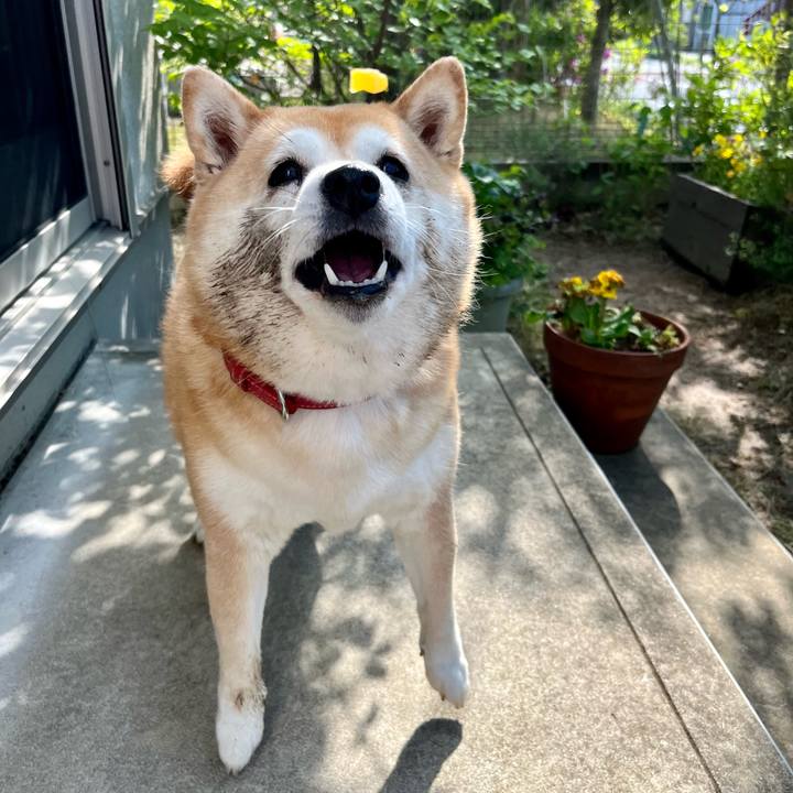 Ab56e1b9 09d2 4309 bc65 4c490abda145 1651540538977