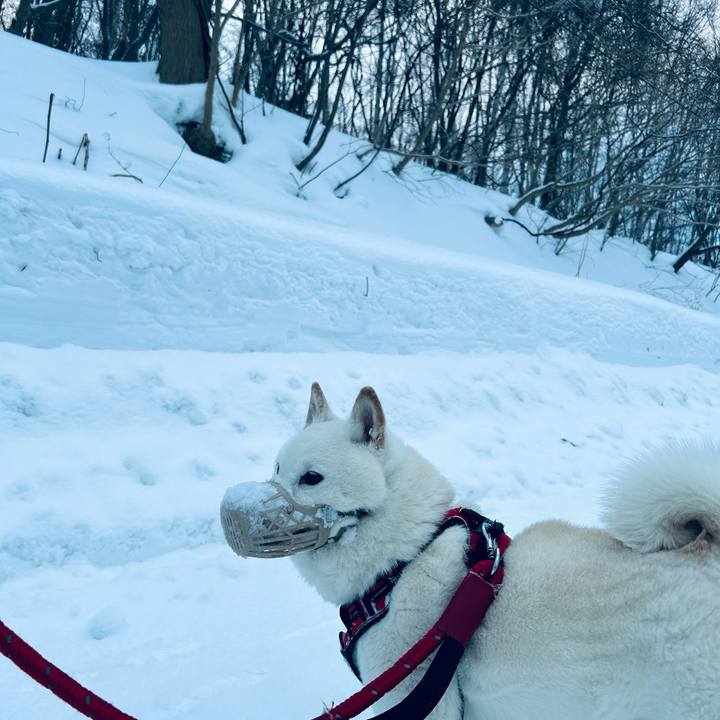 Ab56f869 38d0 4263 8d44 4ae012918d52 1707001052016