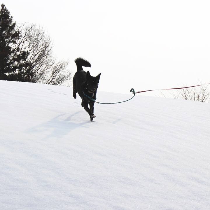 Ab572123 11fb 4c35 97b7 b241eb184246 1521366962436