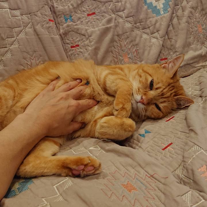 Ab573196 ff39 4849 8566 5c4d195e5500 1564226857897