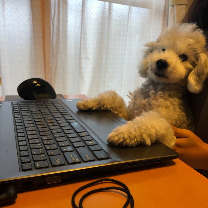 Ab573f22 efd6 4bd2 928a 75c43ea4a9fb 1629072627169