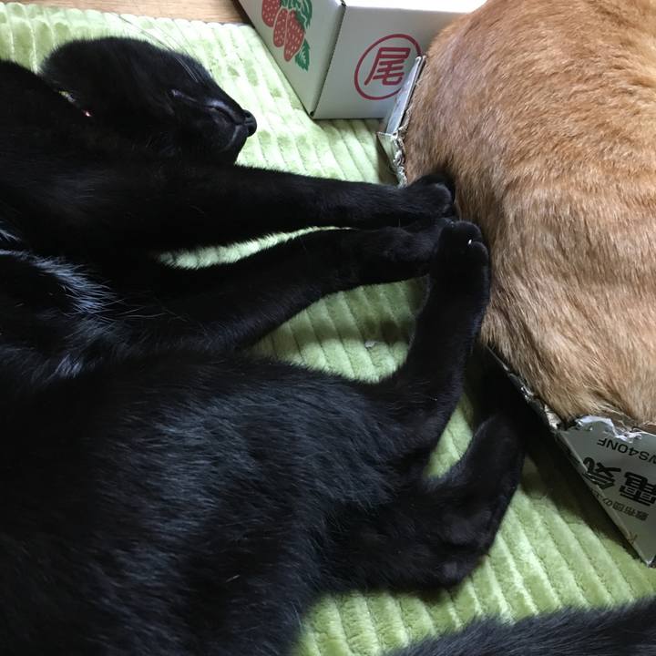 Ab5757c7 144c 4888 8451 f3b7278937d9 1547293967160