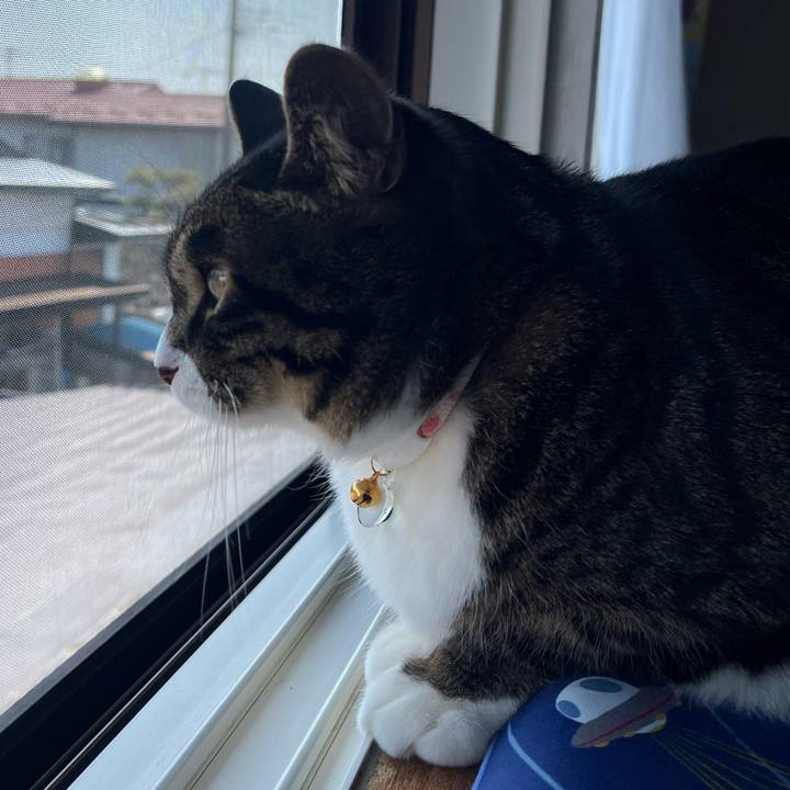 Ab57898b 2bda 41db 91db ab35e0865783 1773187601318