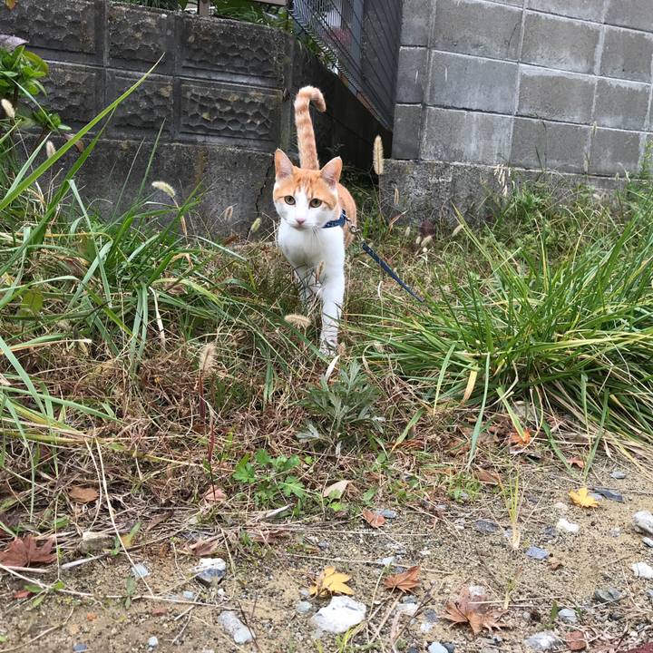 Ab5799ab 590e 4f69 aa1a 7ed050d27ad2 1509760119591