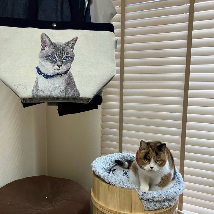 Ab57a456 4301 4af9 bdef 0ace6cf5dd14 1762206865384