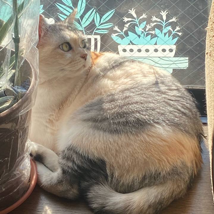 Ab57cb2a 4bdb 42c4 8ac9 2967253df317 1638580652644