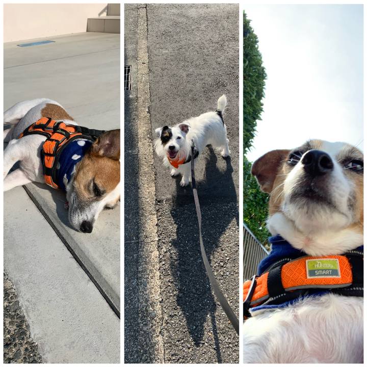 Ab57d1e7 c796 4fa8 81bb 7b007784065e 1598311995138