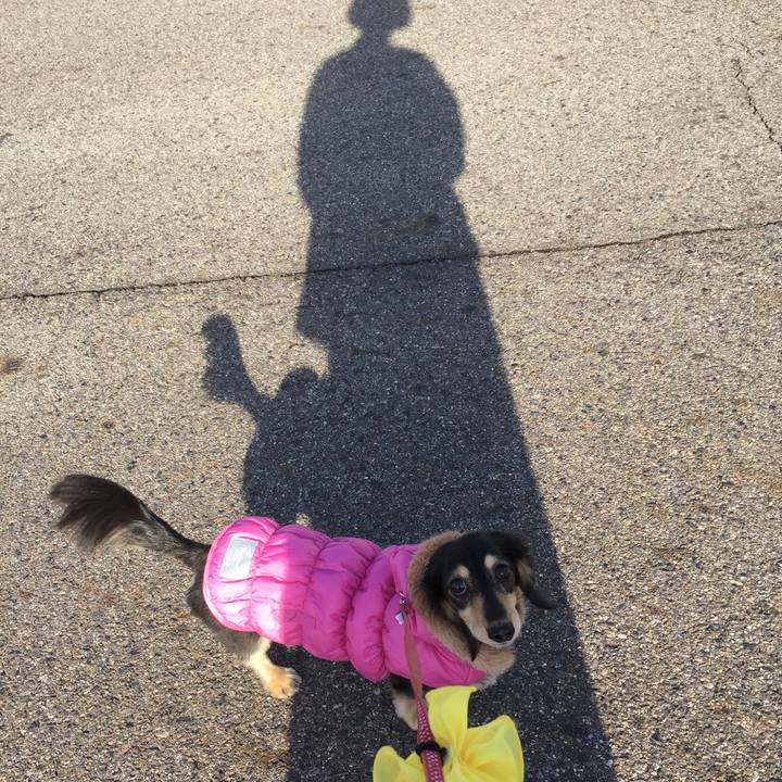 Ab583358 032f 4825 94d3 b6faf36374b9 1516321263387