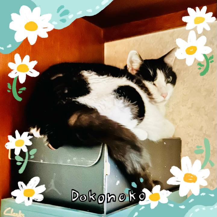 Ab5838cf c844 4736 828b 3610bd92e978 1712540769298