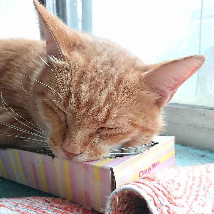 Ab583db4 5e0f 4687 94cf 730b5c09c483 1597529050871