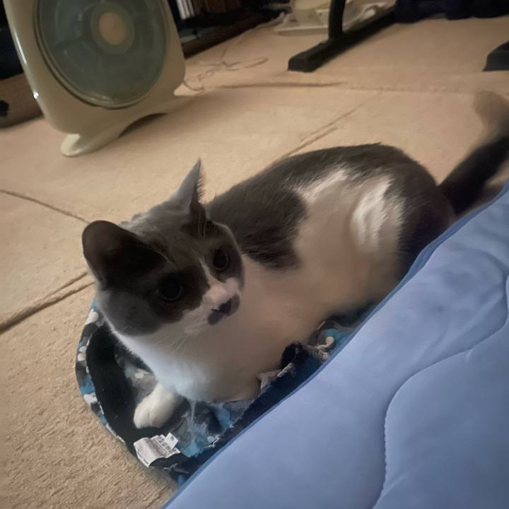 Ab58928a 3ad3 44a8 add6 24031cfde8ee 1754428559277