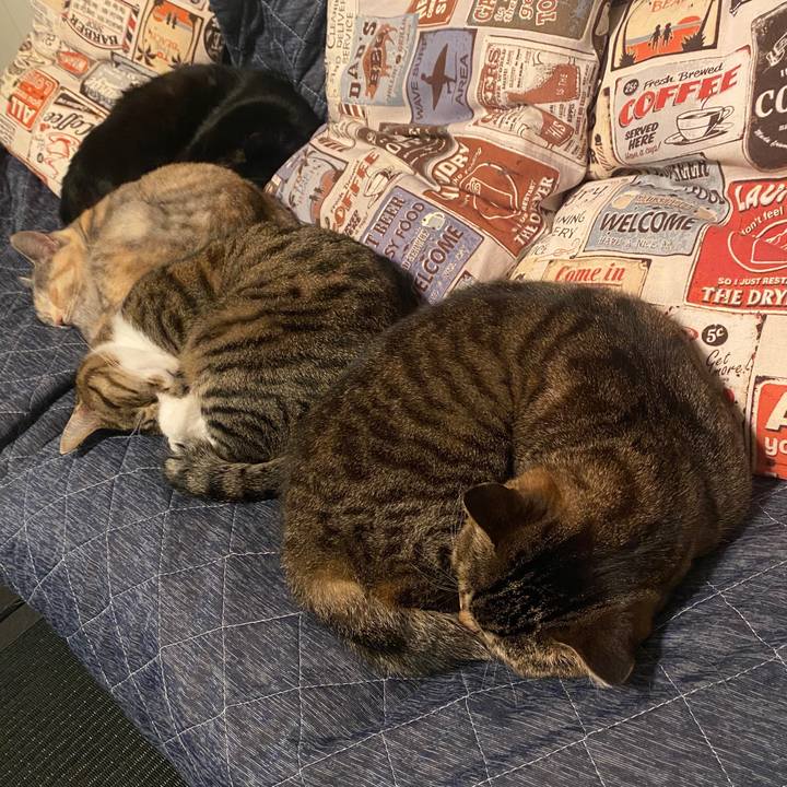 Ab58973e cc11 41b8 8edd 7238c3da460f 1586712169120