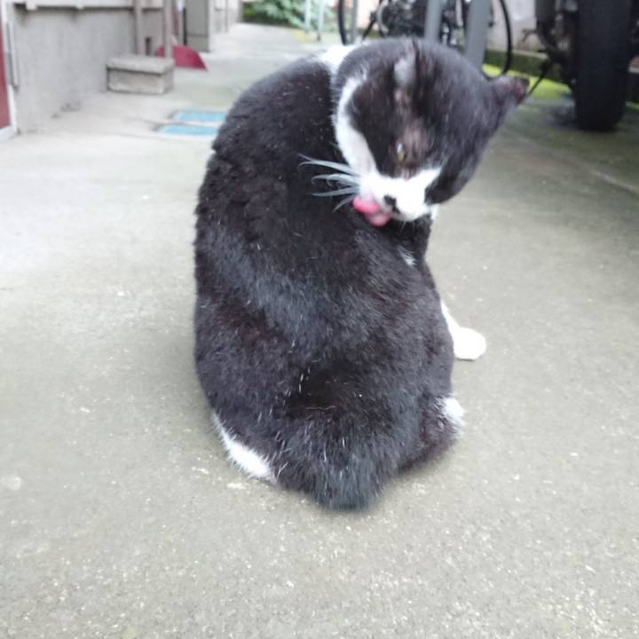 Ab58d328 1a57 4da7 ba51 8e9a63b79662 1599034134993