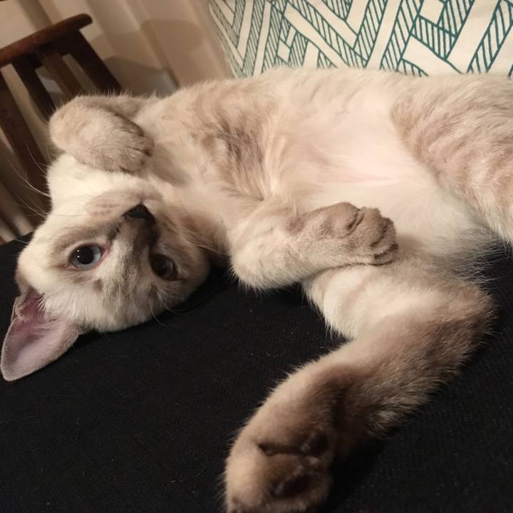 Ab58e630 f6d2 4613 8283 a38d7210b024 1537881668236