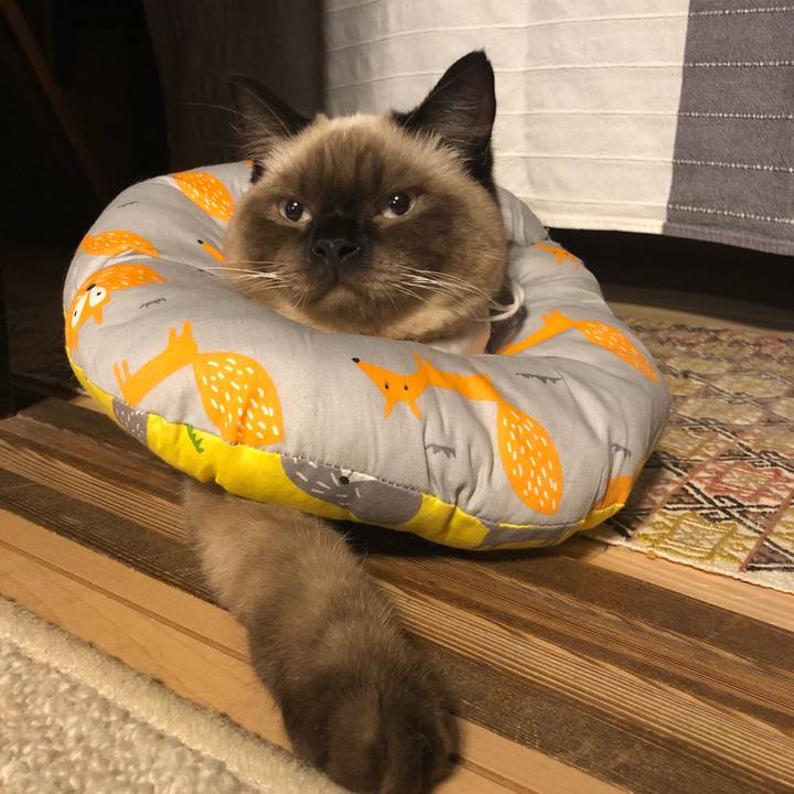 Ab58f1ae 6ebf 4003 9c2e 34035057ba8e 1599131075487