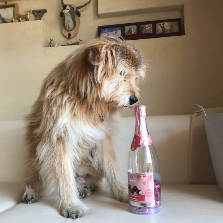 Ab5901a8 8532 48b5 b4bf 287ad7838841 1645845417050