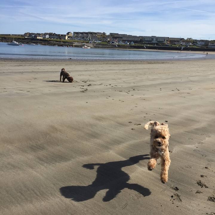 Ab5913e6 1cdb 4806 87db 8f576444f241 1529919750722