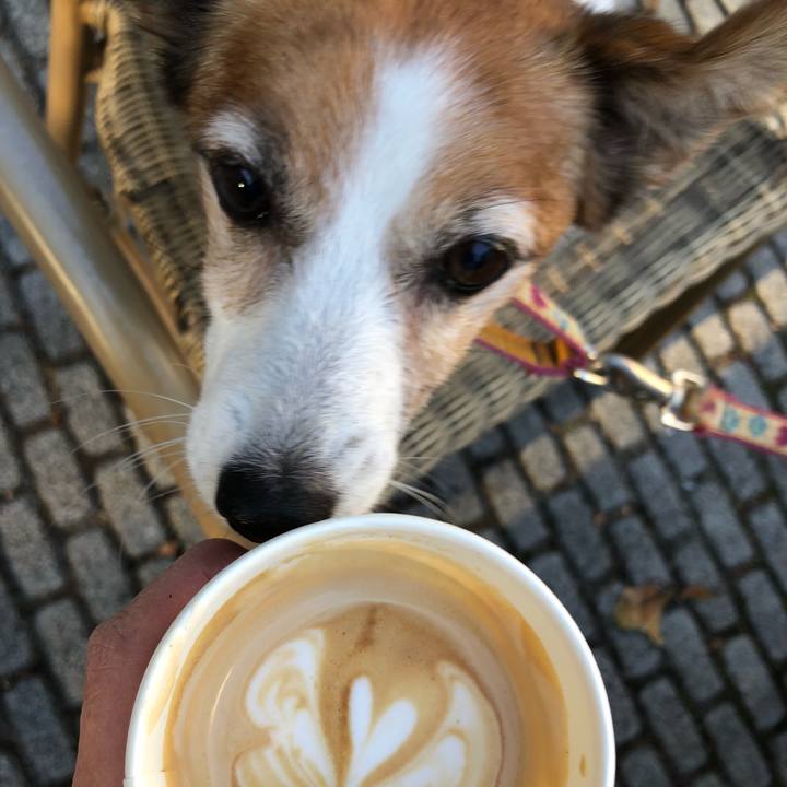 Ab5928d9 27ad 45ad 804a 936dc1ea83ee 1540906793868