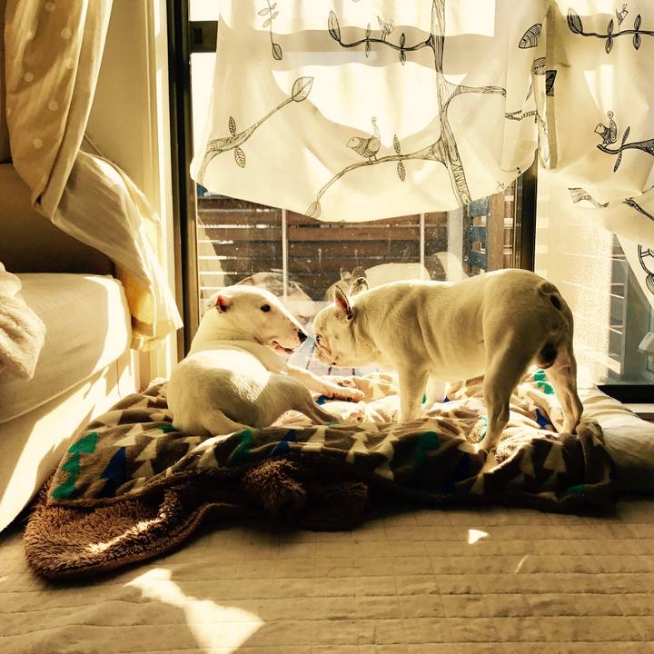 Ab593dcc 7940 44dc 97f9 3a068b2dbad1 1519345610364