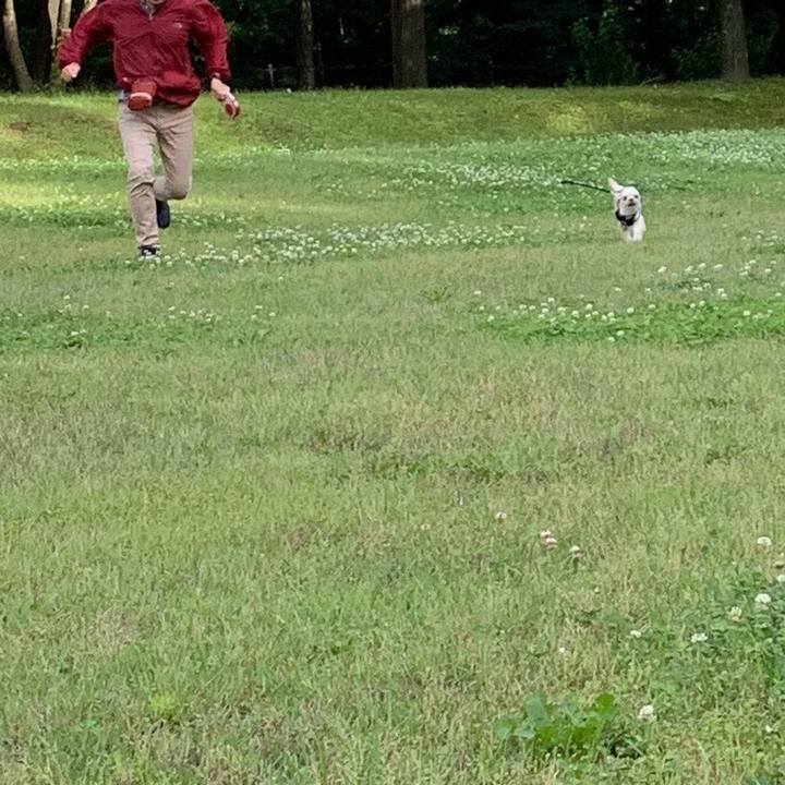 Ab5a1f48 6679 4950 b6df c768a9422664 1560729863192