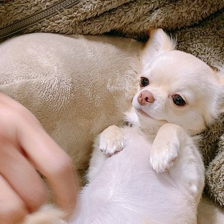 Ab5a25af b6cc 46d4 9eea c2c77e4624f0 1611445792812