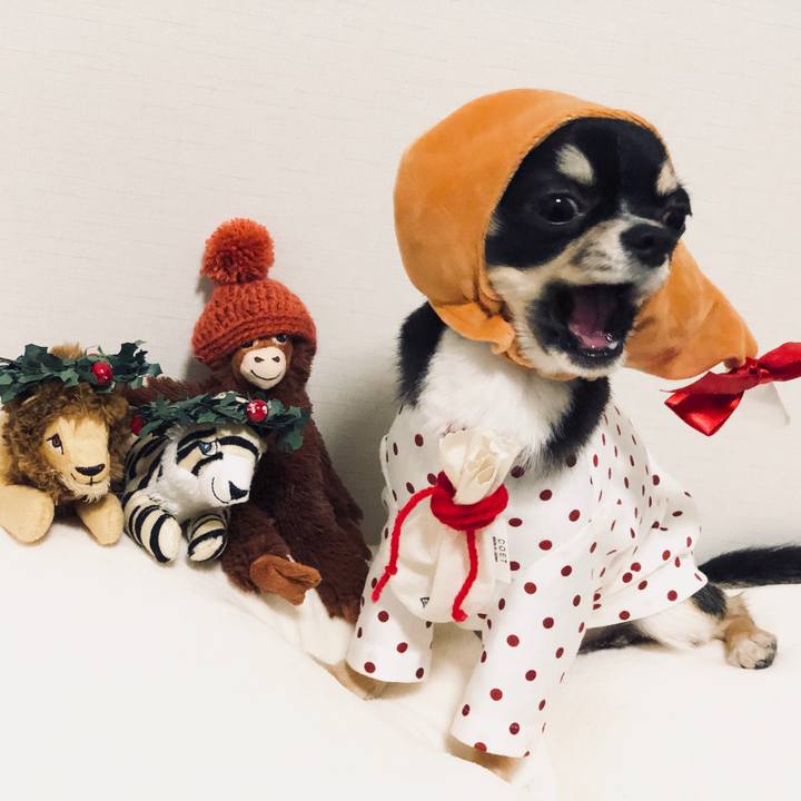 Ab5ac6c0 f655 4815 90dc 68eb46c41f30 1545671036297