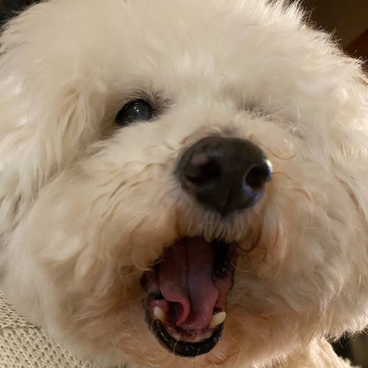 Ab5acc34 7c61 42b0 b70c 8ea5fa59ff31 1679911453274