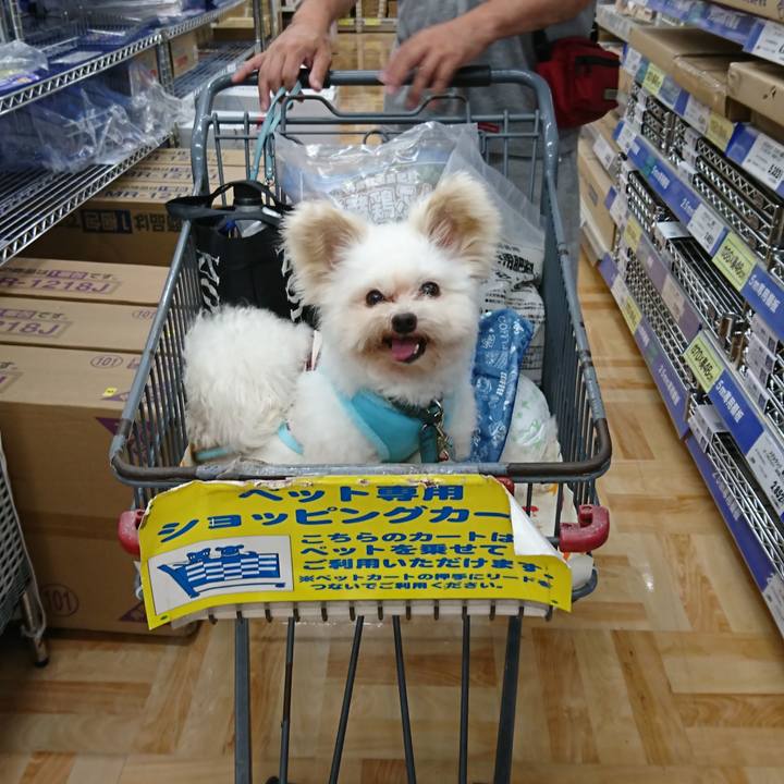 Ab5ae437 9922 4830 908c 44d9b7499b0a 1530674847611