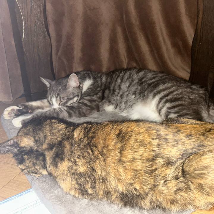 Ab5b08c7 1cce 41d0 b39e 28bda30b4466 1769223753214