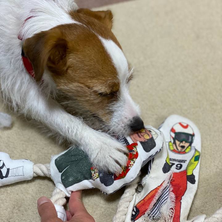 Ab5b4cb0 5872 4ba5 b347 69f1200e4157 1650200430322