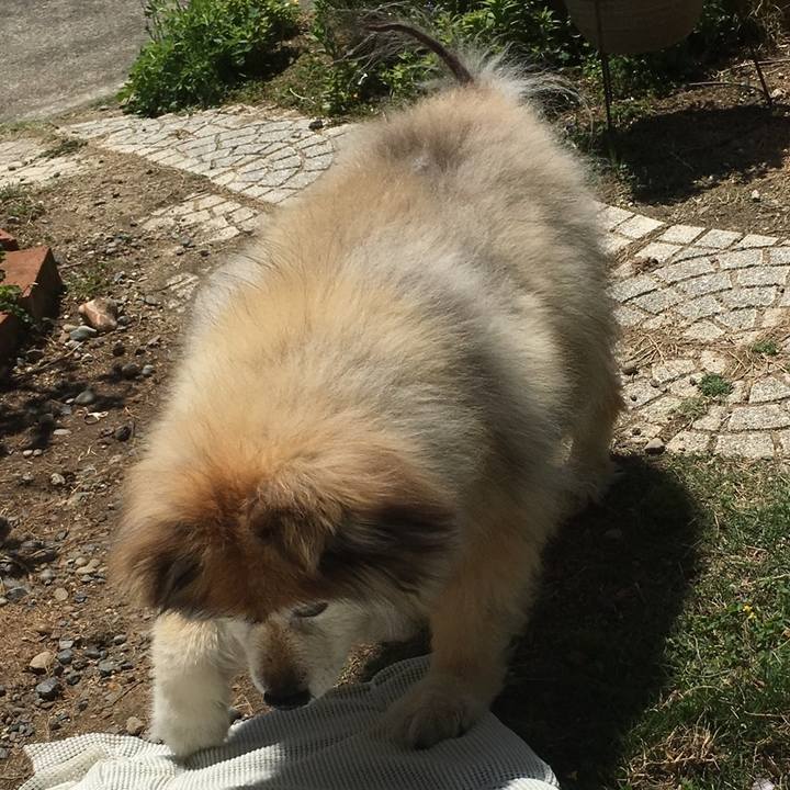 Ab5b4fb0 4aae 4629 848b acbb34835fbe 1586908661478