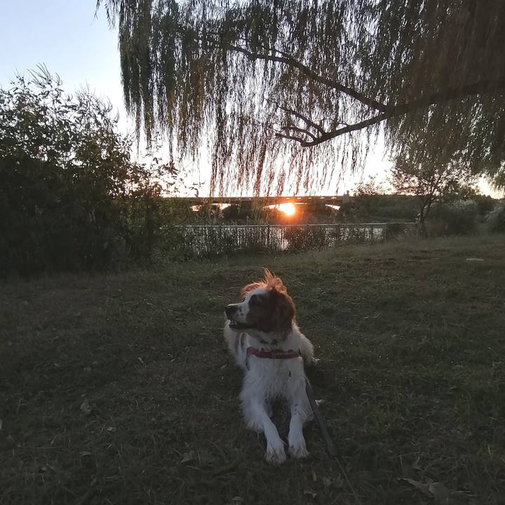 Ab5b575d c23a 4fa6 ba7f 95bb684ac60c 1570622346010