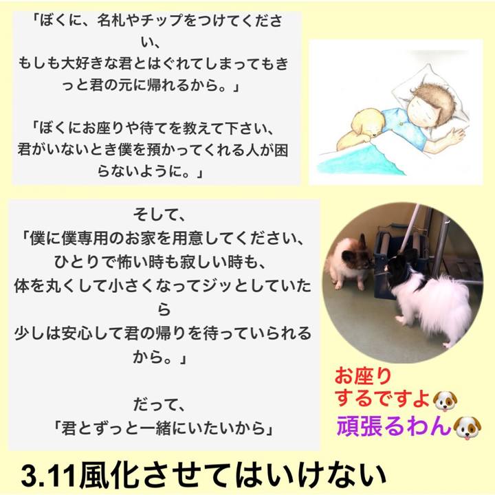 Ab5b686c 2c4d 4d3f 82a6 d686496019af 1552287679506