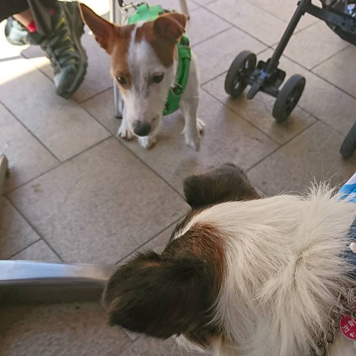 Ab5b7556 bdf7 474d ae27 3ecf2b306ac9 1593671578820