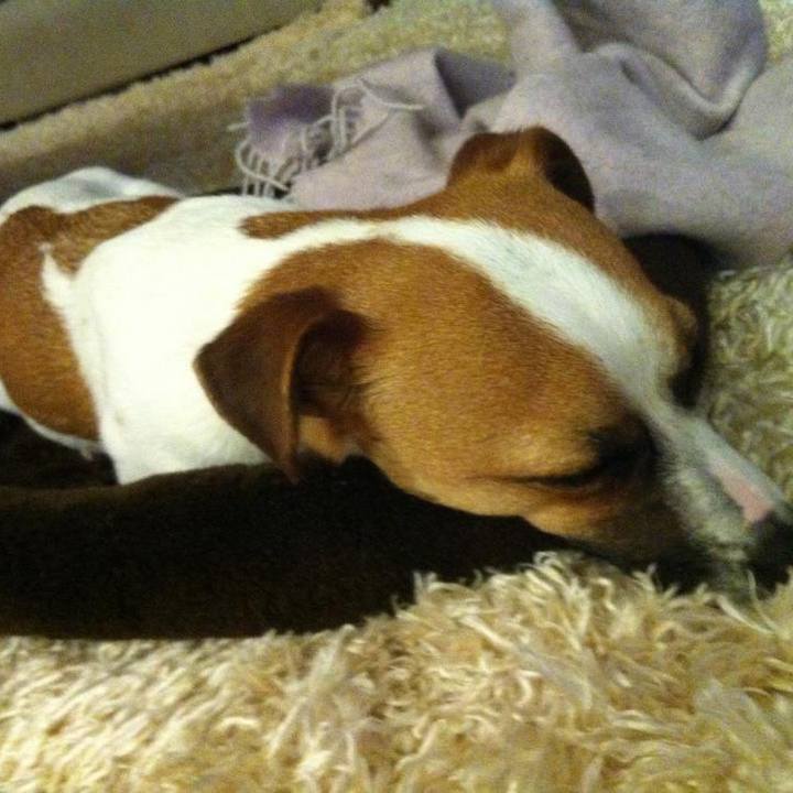 Ab5b92bf d146 407e 9b0d ad68ec0680ea 1651574804732