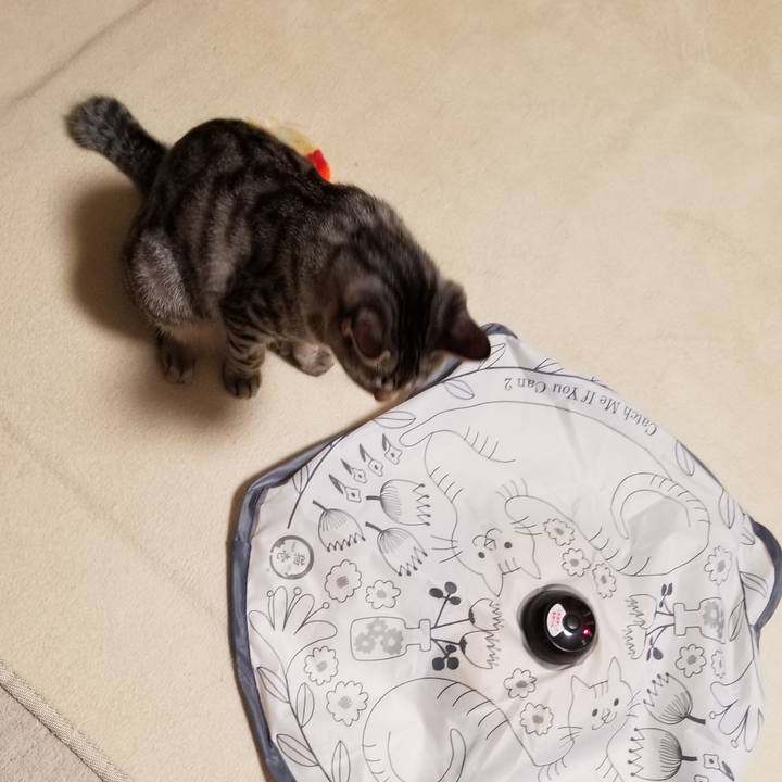 Ab5b9e14 250b 4bde 9b48 6c1c5db184a3 1675261893549