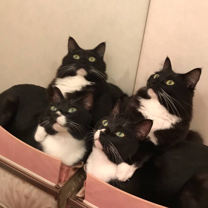 Ab5bda12 bd30 47d3 bcbc b5a3c8e38d3c 1543534212436