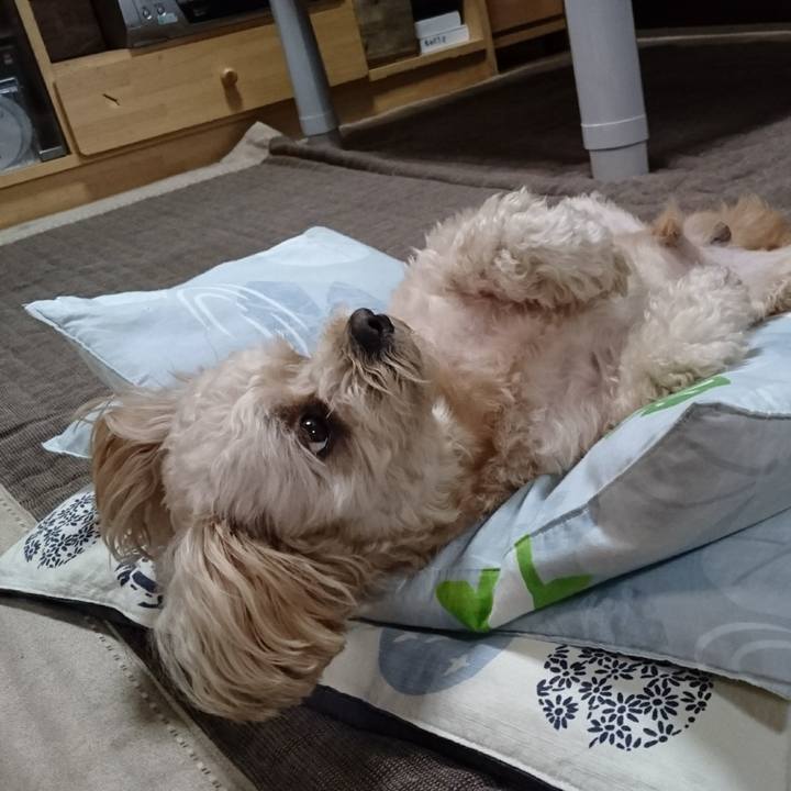 Ab5c22c7 043f 4ba6 9010 49f94a7829fe 1565412826524