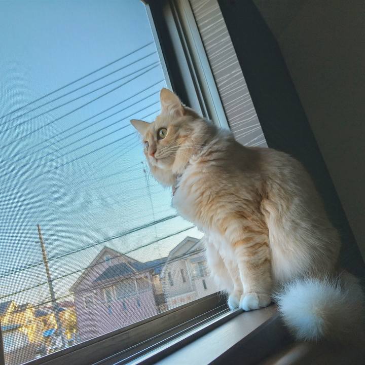 Ab5c2789 90b6 4cb7 b949 a289cb0393c2 1635551403137