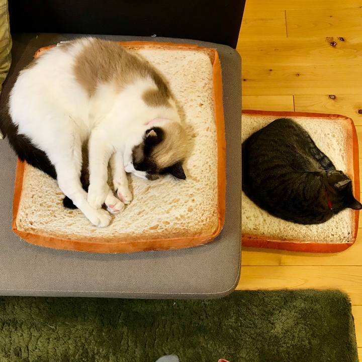 Ab5c359b ecda 4dca 9876 5702dbb101ae 1543843650230